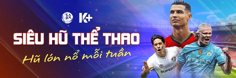 Hoàn trả cược thể thao rg8369